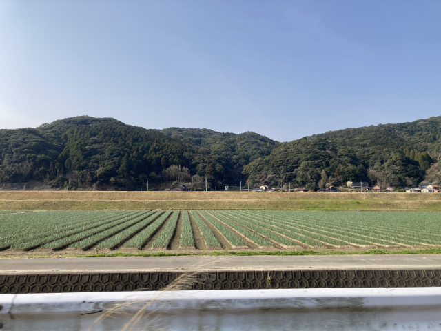 女の子「田舎に住んだらライブハウスも美術館もなくて死んだ。なぜ田舎者はサブカルなしで生きてられるの？」