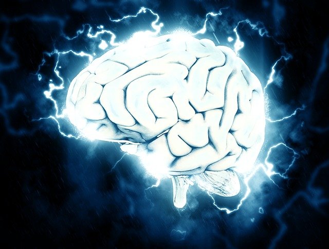 【衝撃】脳に刺したLEDで『友情を遠隔操作』する研究がヤバすぎる…