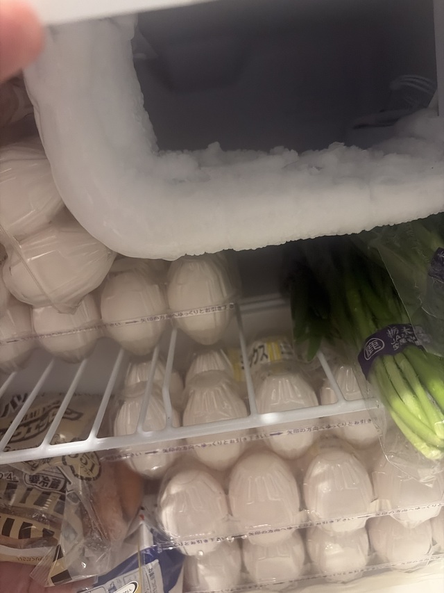 【悲報】ワイの家の冷蔵庫が氷漬けになっとる（※画像あり）