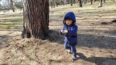 【悲惨】少子化対策、なんの意味もなかった模様・・・・・・
