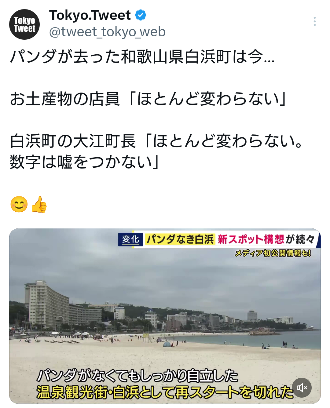 和歌山白浜町、パンダ返還から1年「売り上げは昔と変わらない」「殆ど影響なしパンダなくても大丈夫」